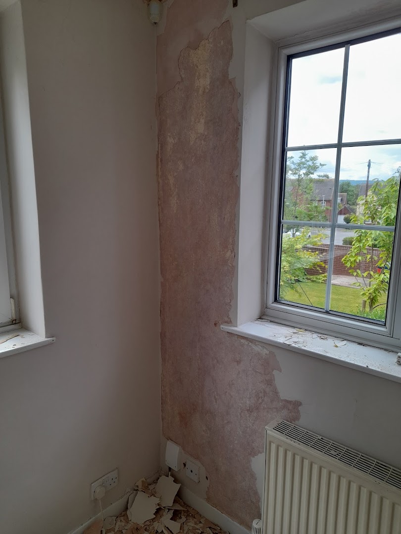 KPM painting and decorating · Photos 7